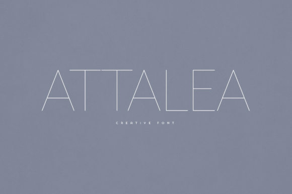 Attalea: A Modern Sans Serif Review
