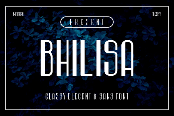 Bhilisa: A Modern Sans Serif Review