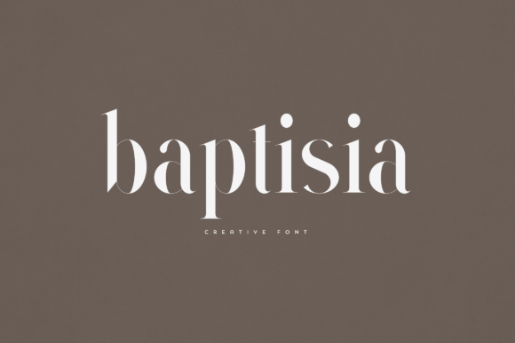 Elevate Your Brand Identity with the Baptisia Serif Font