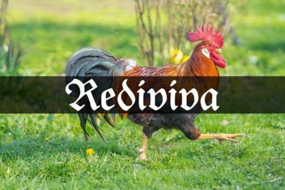 Rediviva Font Review