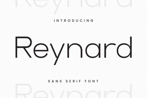 Reynard: The Elegant Sans Serif Font for Clear Campaigns